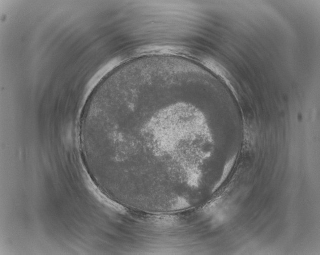 X0000067901090200604201328