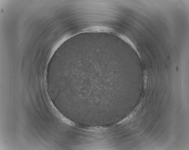 X0000067901091200604201328