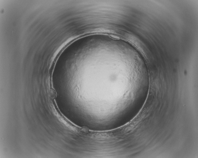 X0000067901092200604201328