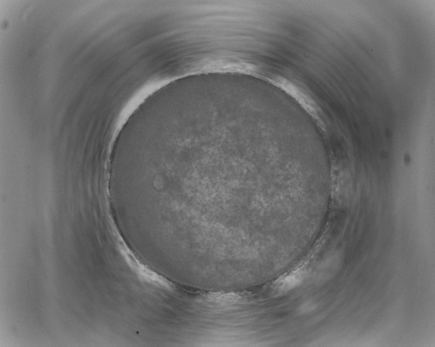 X0000067901094200604201328