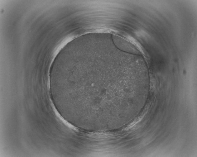 X0000067901095200604201328