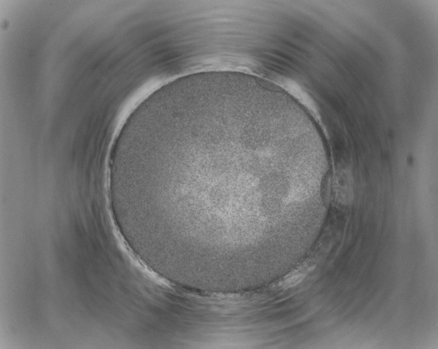 X0000067901096200604201328