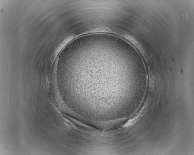 X0000067901097200604201328