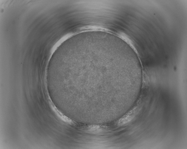 X0000067901098200604201328