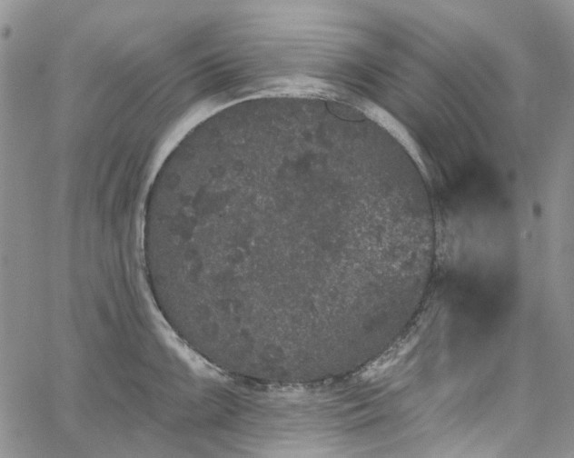 X0000067901099200604201328