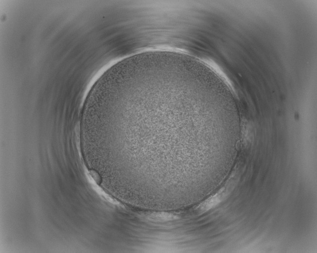 X0000067901100200604201328