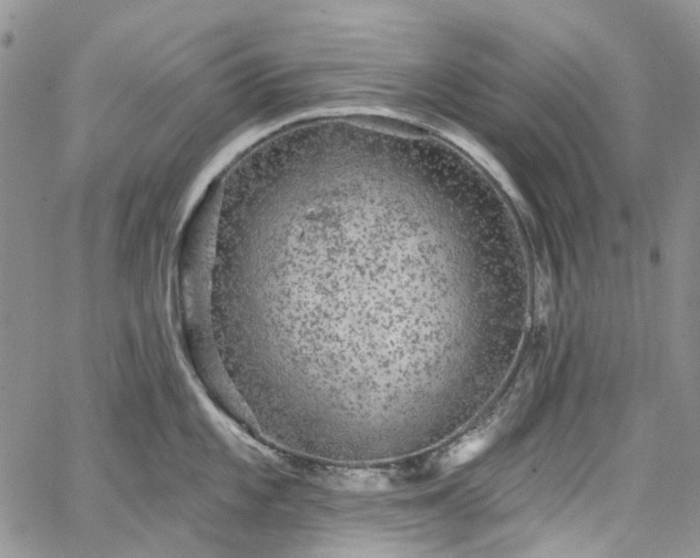 X0000067901101200604201328