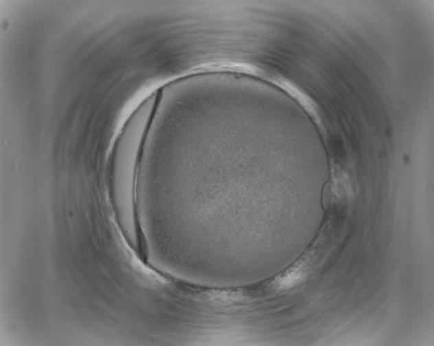 X0000067901102200604201328