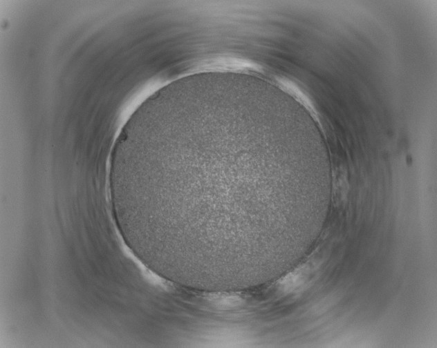 X0000067901103200604201328