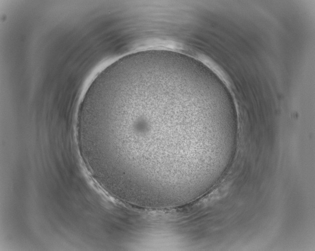 X0000067901104200604201328