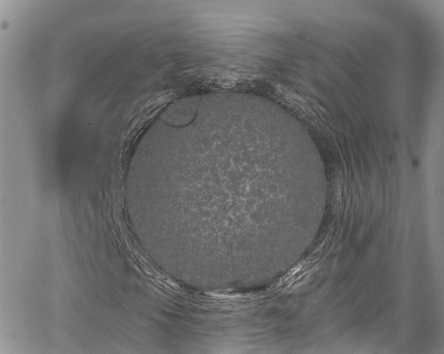 X0000067901105200604201327