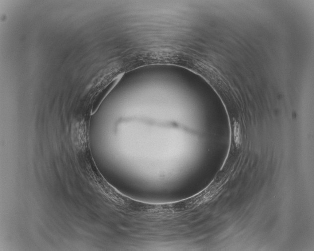 X0000067901107200604201327