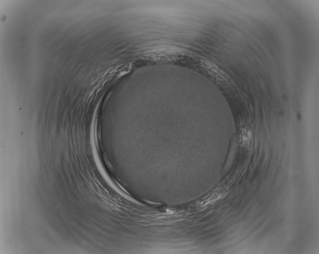 X0000067901108200604201327