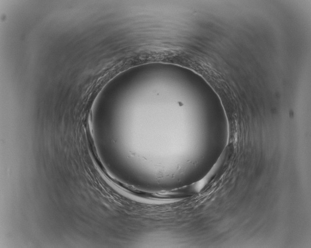 X0000067901109200604201327