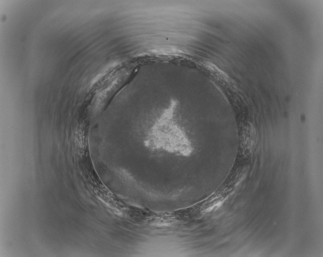 X0000067901110200604201327