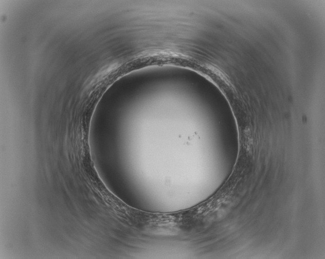 X0000067901111200604201328