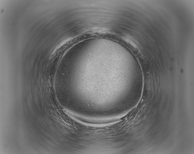 X0000067901112200604201328