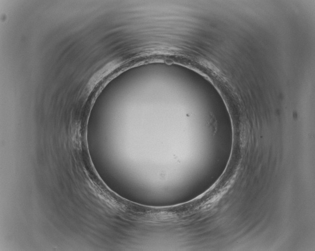 X0000067901113200604201328