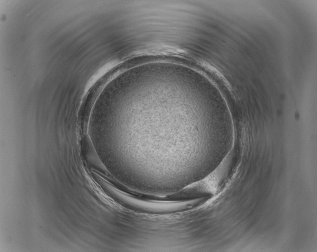 X0000067901114200604201328