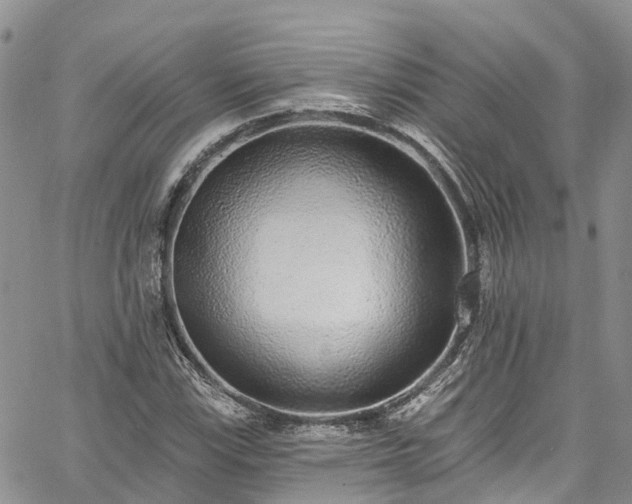 X0000067901115200604201328