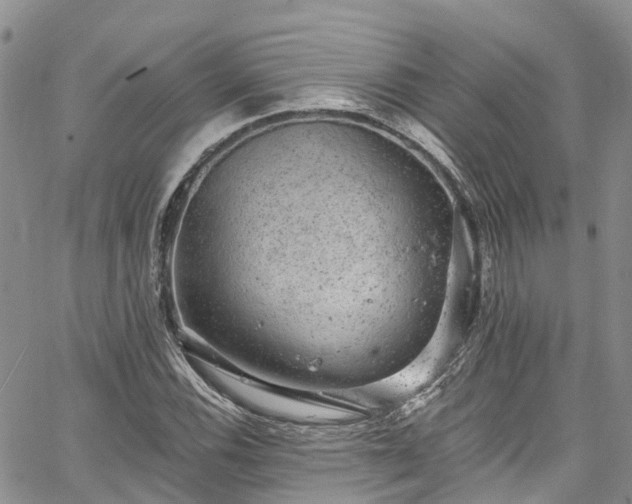 X0000067901116200604201328