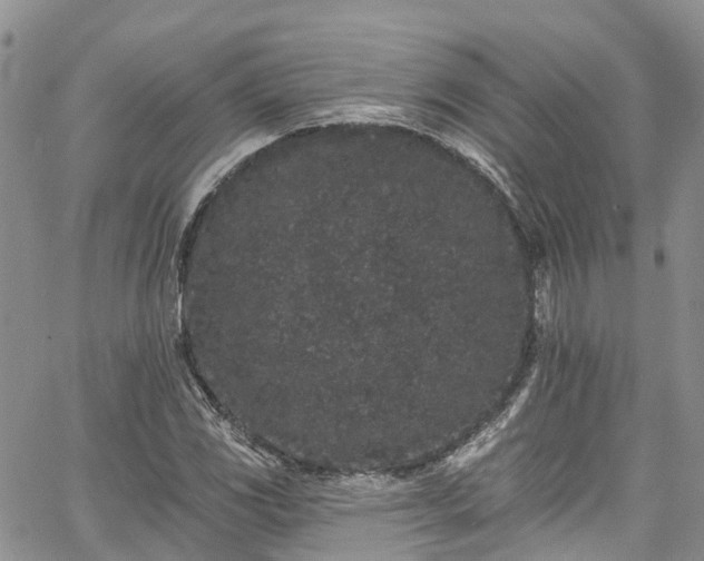 X0000067901117200604201328