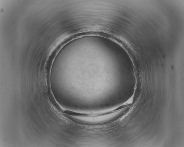 X0000067901118200604201328