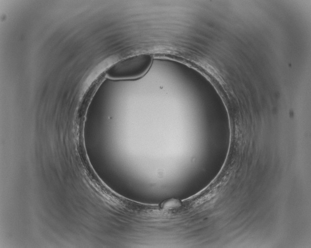 X0000067901119200604201328