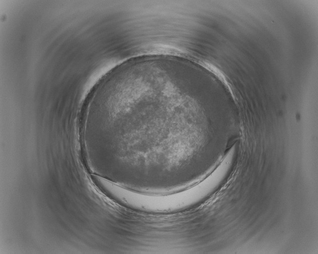 X0000067901120200604201328