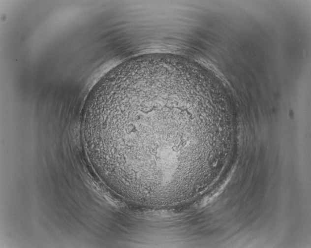 X0000067901121200604201328