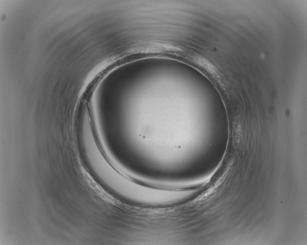 X0000067901122200604201328