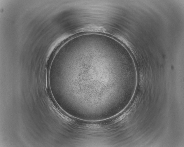 X0000067901123200604201328