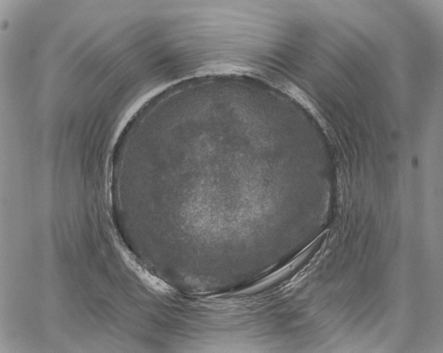 X0000067901124200604201328