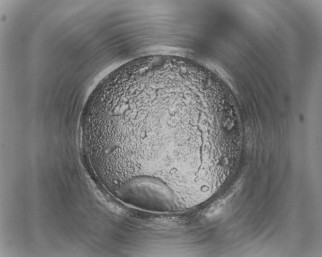 X0000067901125200604201328