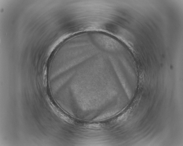 X0000067901126200604201328