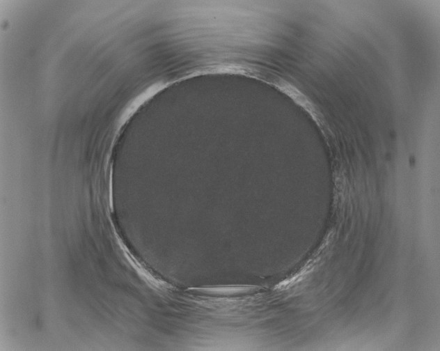 X0000067901127200604201328