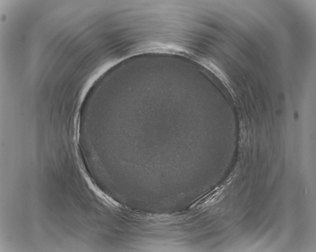 X0000067901128200604201328