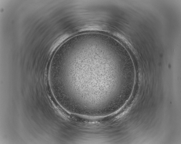 X0000067901129200604201328