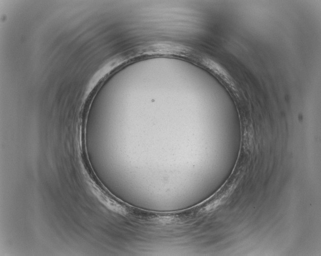 X0000067901130200604201328