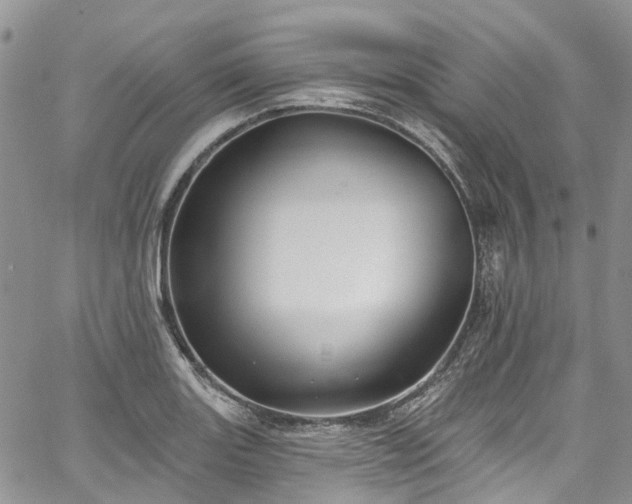 X0000067901131200604201328