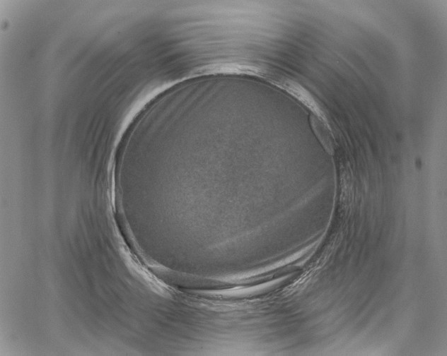 X0000067901132200604201328