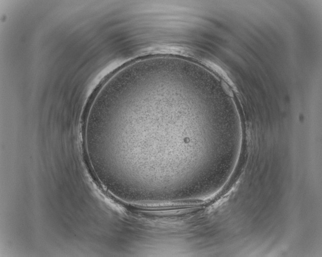 X0000067901133200604201328