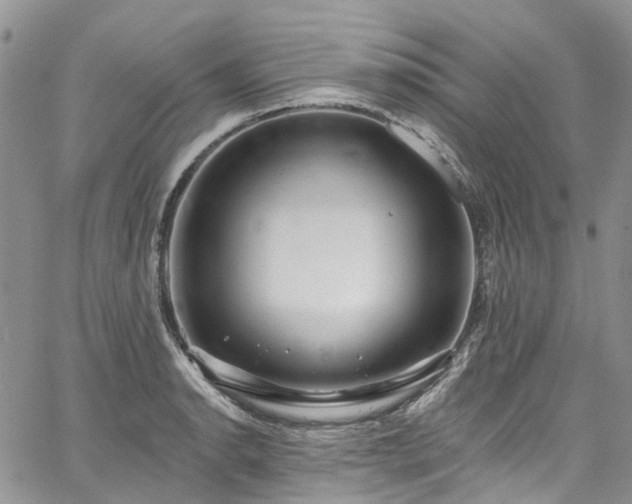 X0000067901134200604201328