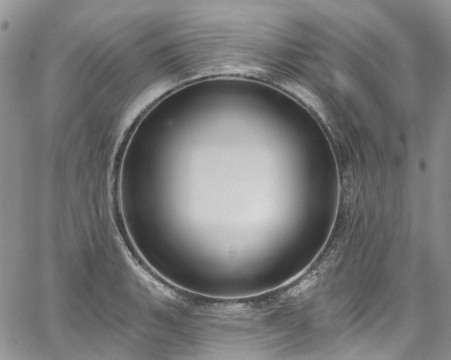 X0000067901135200604201328