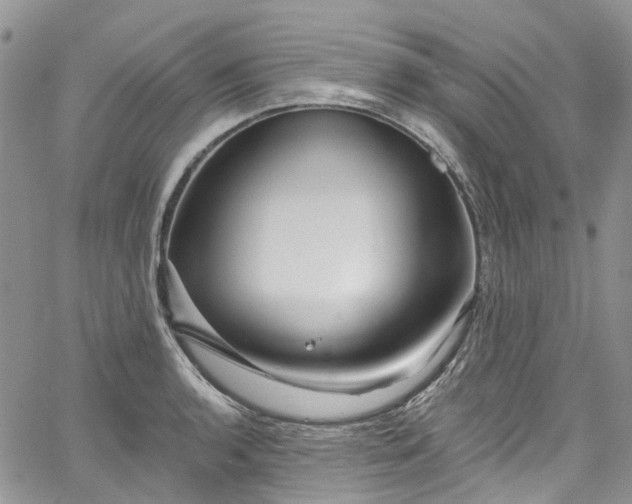 X0000067901136200604201328