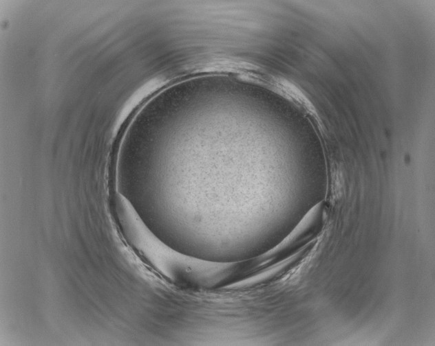 X0000067901138200604201328