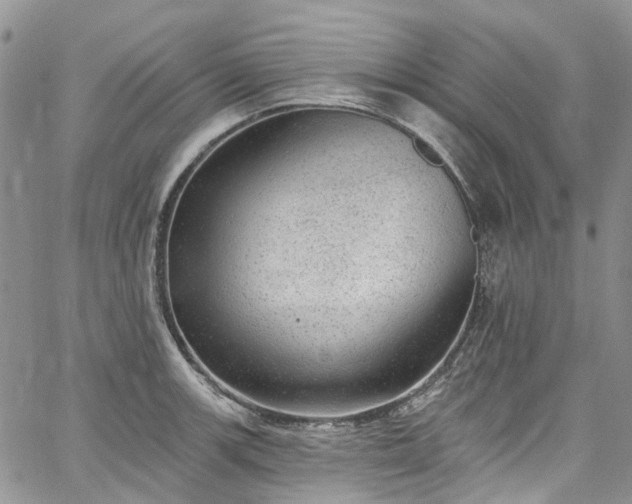 X0000067901139200604201328