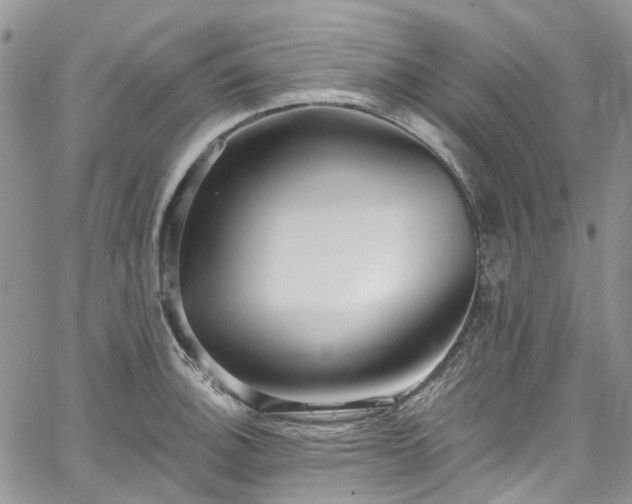 X0000067901140200604201328