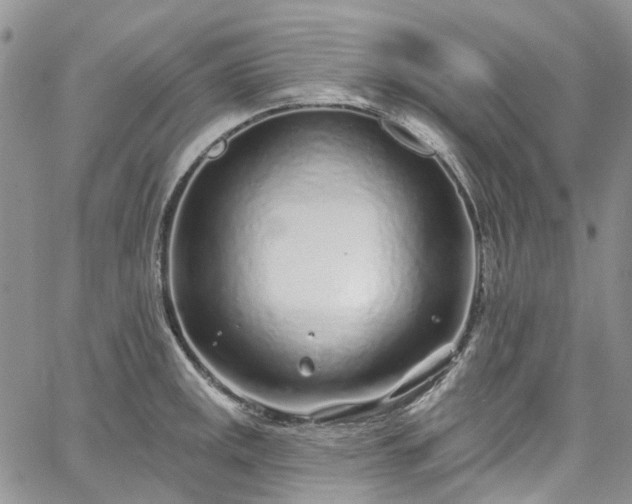 X0000067901141200604201328