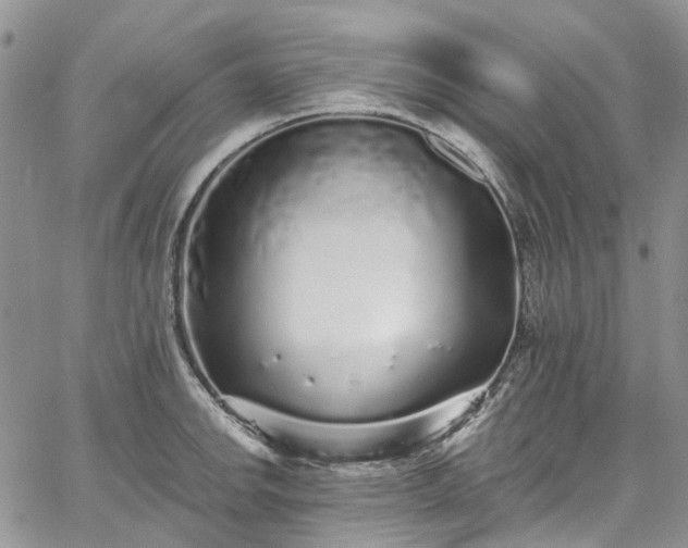 X0000067901142200604201328